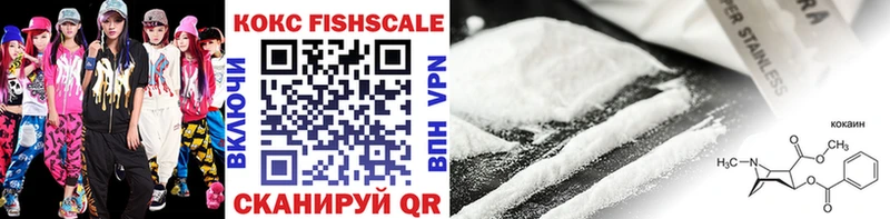 Купить закладки  Белокуриха  Кокаин Fish Scale 