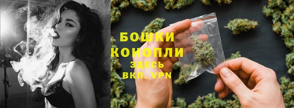прущие грибы Аркадак