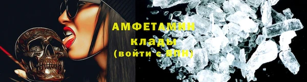 прущие грибы Аркадак