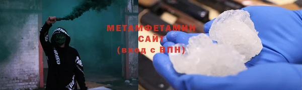 прущие грибы Аркадак