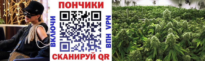 Купить закладки  Белокуриха  Конопля конопля 